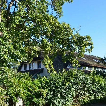 Duenenrose By Interhome Ferienhaus *