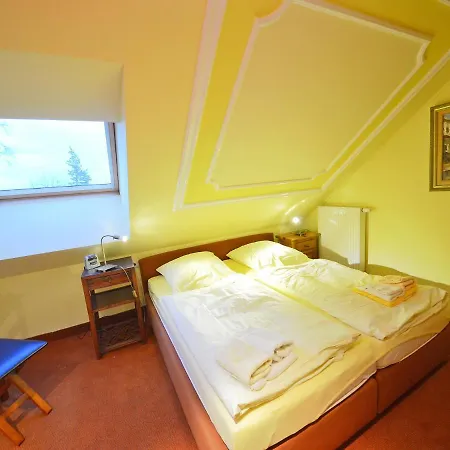 Duenenrose By Interhome